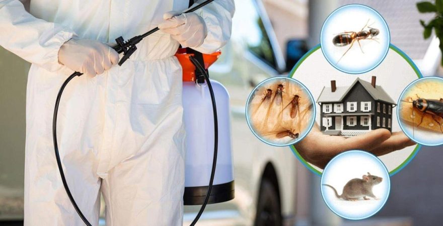 Bergama Böcek İlaçlama