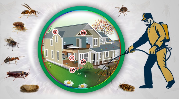 Bergama Böcek İlaçlama