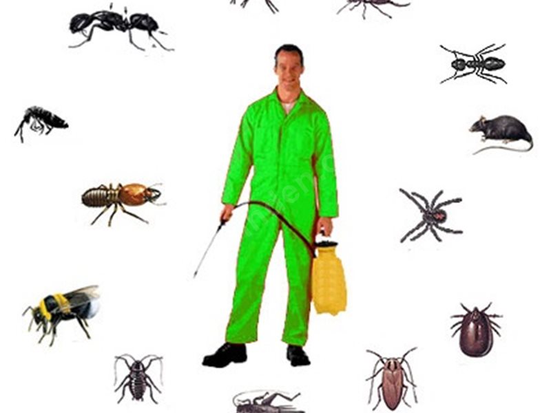 Bergama Böcek İlaçlama